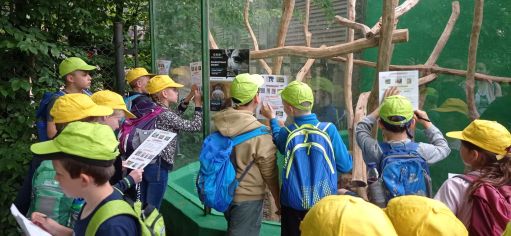 Fotografie img_20220526_113102_1_original.jpg