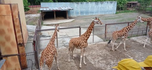 Fotografie img_20220526_114235_1_original.jpg