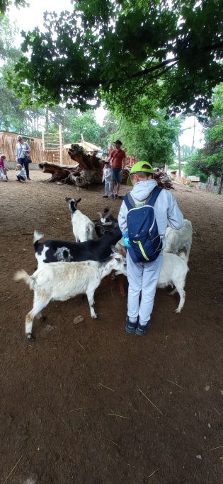 Fotografie img_20220526_121015_1_original.jpg