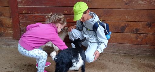 Fotografie img_20220526_121106_1_original.jpg