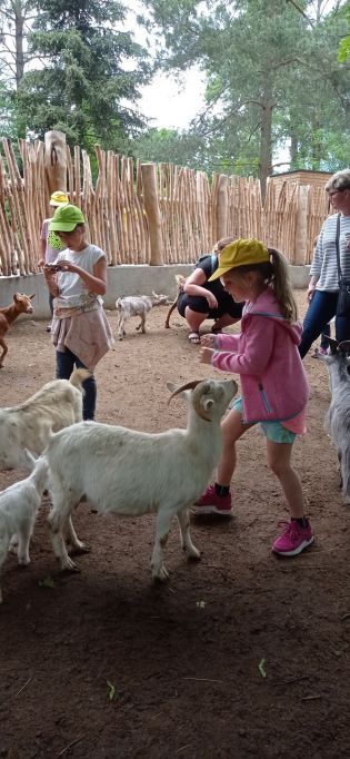 Fotografie img_20220526_121215_1_original.jpg