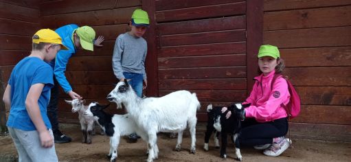 Fotografie img_20220526_121234_1_original.jpg