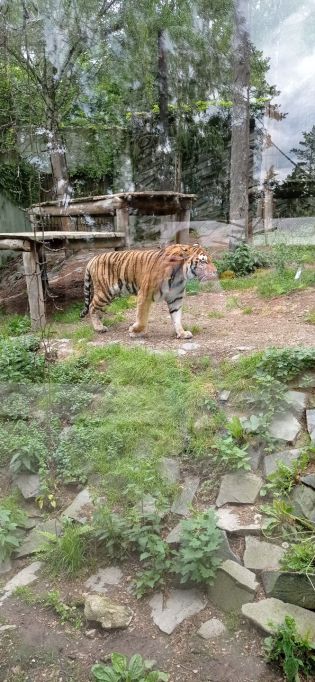 Fotografie img_20220526_132205_1_original.jpg