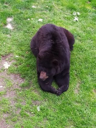 Fotografie img_20220526_134840_1_original.jpg