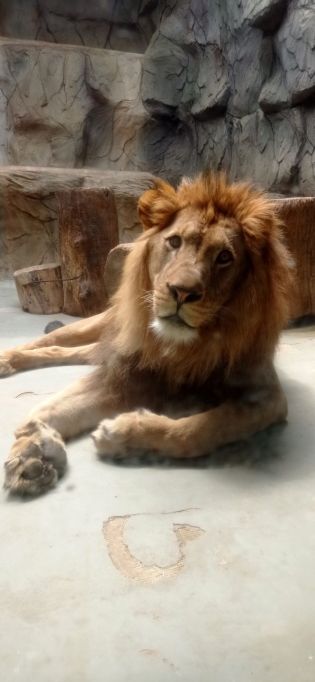 Fotografie img_20220526_151914_1_original.jpg