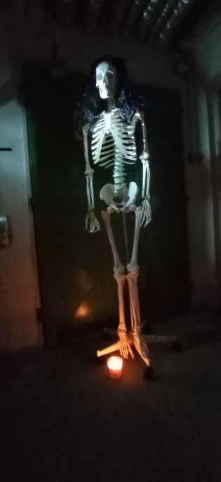 Fotografie img_20220527_235322_1_original.jpg