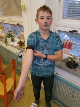 Fotografie p5270693_1_original.jpg