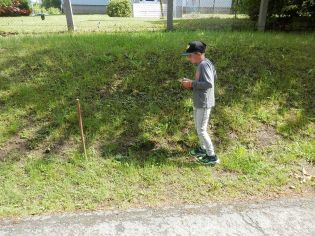 Fotografie p6010238_1_original.jpg