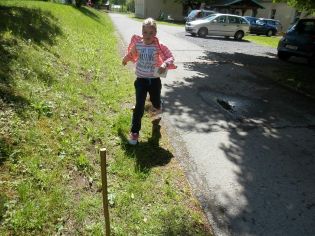 Fotografie p6010286_1_original.jpg