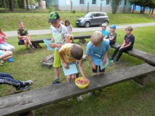 Fotografie p6020014_1_original.jpg