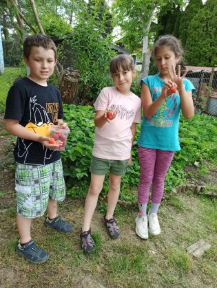 Fotografie 1654598685841_3_original.jpg