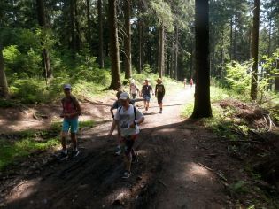 Fotografie p6160011_original.jpg