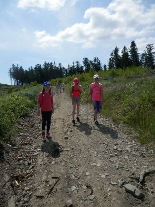 Fotografie p6160023_original.jpg