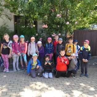 Fotografie p1170427_original.jpg