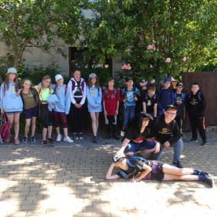 Fotografie p1170428_original.jpg