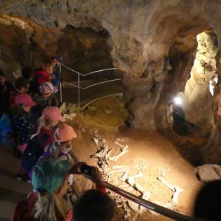 Fotografie p1170433_original.jpg