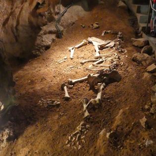 Fotografie p1170435_original.jpg