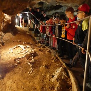 Fotografie p1170436_original.jpg