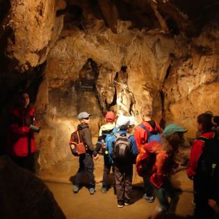 Fotografie p1170439_original.jpg