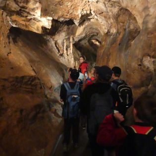 Fotografie p1170442_original.jpg