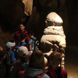 Fotografie p1170462_original.jpg