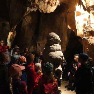 Fotografie p1170464_original.jpg