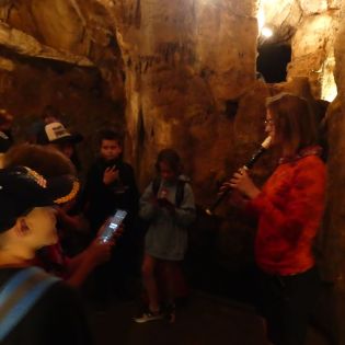 Fotografie p1170473_original.jpg