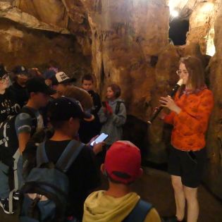 Fotografie p1170474_original.jpg