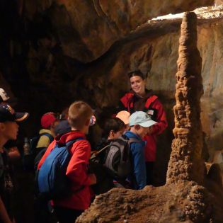 Fotografie p1170486_original.jpg