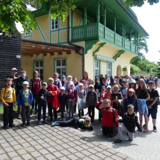 Fotografie p1170500_original.jpg