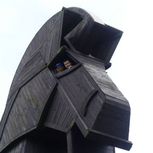 Fotografie p1170559_original.jpg