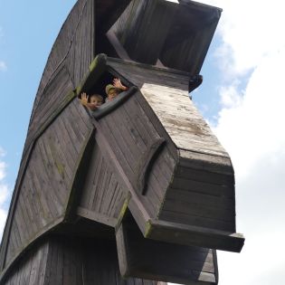 Fotografie p1170563_original.jpg