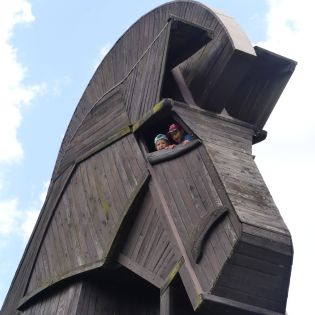 Fotografie p1170566_original.jpg