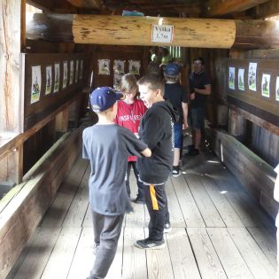 Fotografie p1170585_original.jpg