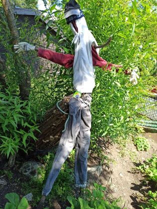 Fotografie 1655889386035_original.jpg