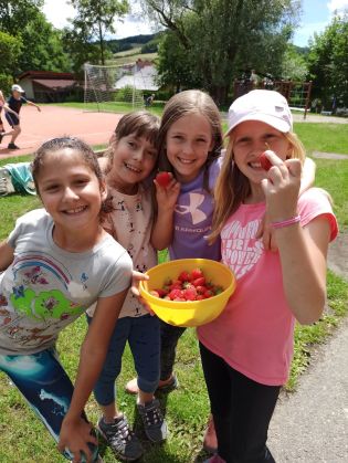 Fotografie img_20220617_131854_original.jpg