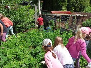 Fotografie img_20220621_123935_original.jpg