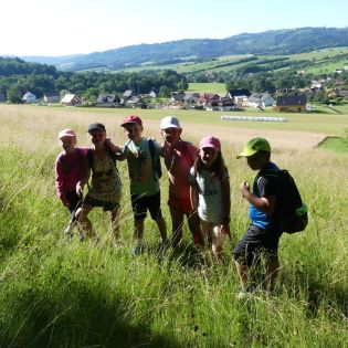 Fotografie p1170660_original.jpg