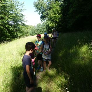 Fotografie p1170663_original.jpg