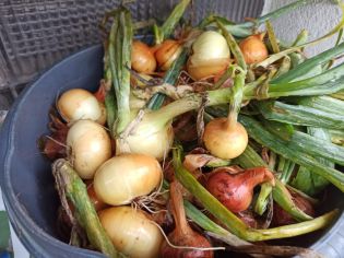 Fotografie 012_original.jpeg