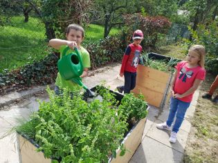 Fotografie 014_original.jpeg