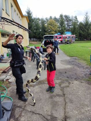 Fotografie img-20220929-wa0002_original.jpg