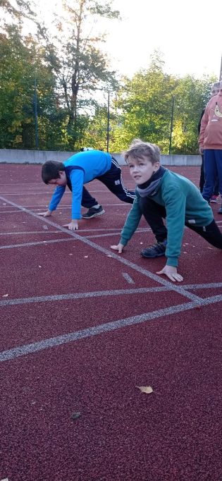 Fotografie img_20221006_083711_original.jpg