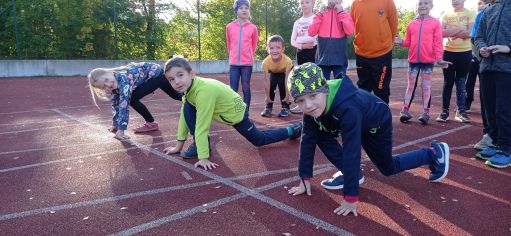 Fotografie img_20221006_085954_original.jpg