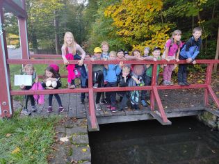 Fotografie img_20221006_113235_original.jpg