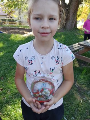 Fotografie img-20221006-wa0002_original.jpg