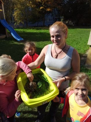 Fotografie img-20221006-wa0013_original.jpg