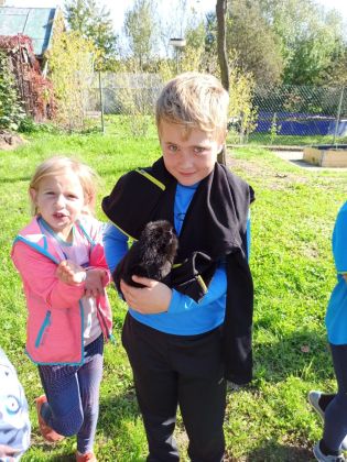 Fotografie img-20221006-wa0014_original.jpg