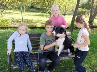 Fotografie img-20221006-wa0017_original.jpg