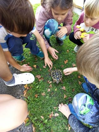 Fotografie img-20221006-wa0019_original.jpg